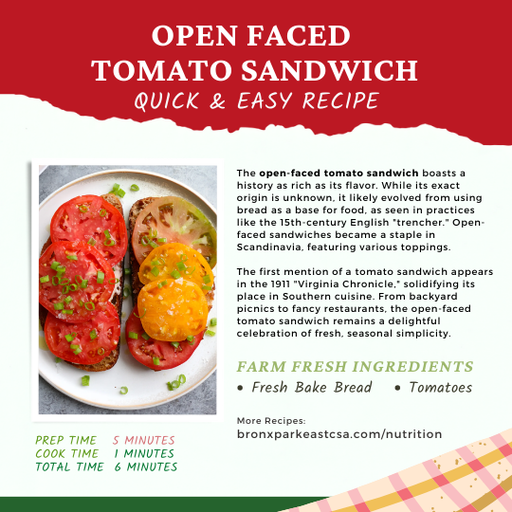 Open Faced Tomato Sandwich